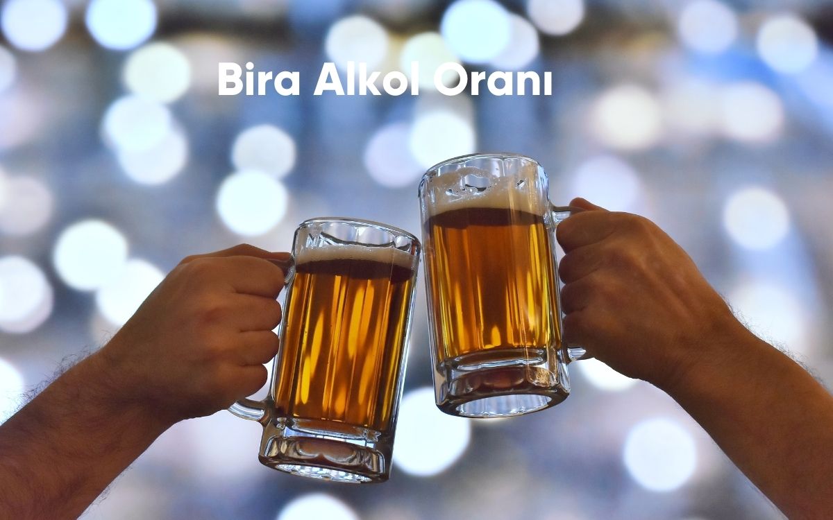 Bira Alkol Oranı - 2024!